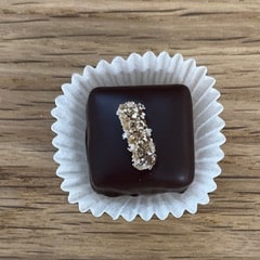 2511 orangentraum q min